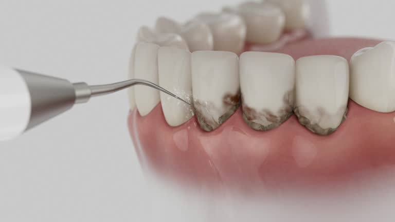 Reliable Dental contractor in Silver Hill, MD by Dentist Open Now